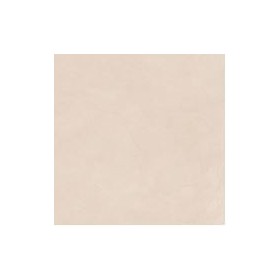 60x60 New Resine Beige
