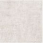 60x60 New Evolution Grigio
