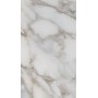 60x120 Calacatta Gold Glossy