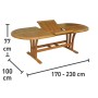 Scheda Tecnica Tavolo da Giardino Allungabile Chelsea 170-230x100 cm 1