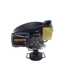 Motore Rasaerba Newton