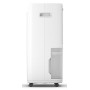 Deumidificatore Portatile 24LT/24H 4