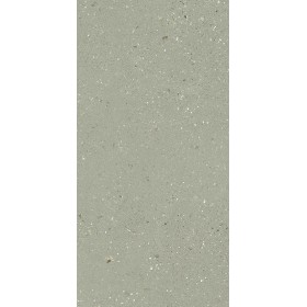 60x120 Geology Salvia