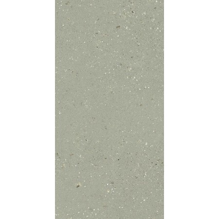 60x120 Geology Salvia