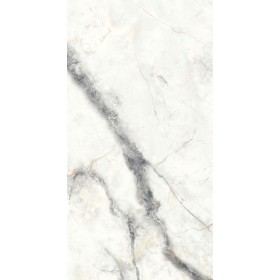 60x120 Charme Invisible Grey