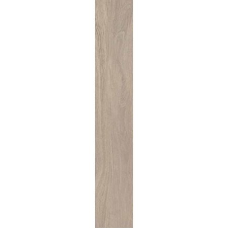 20x122 Meike Betulla