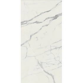 59x118 Vision Silver