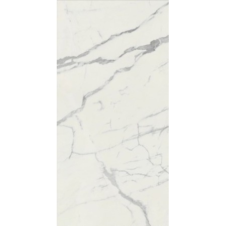 59x118 Vision Silver