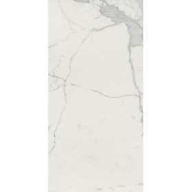 60x120 Vision Matt Calacatta Grigio