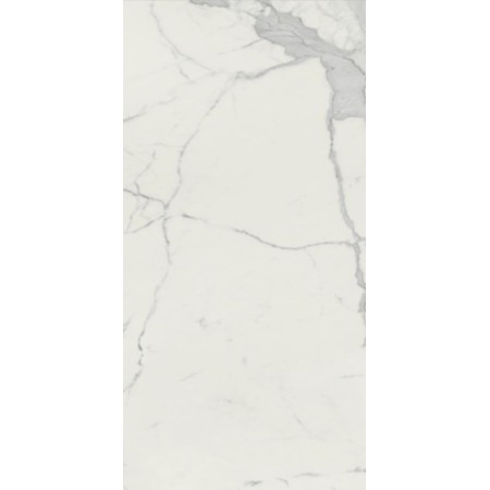 60x120 Vision Matt Calacatta Grigio