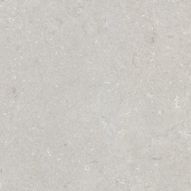 60x60 Shell Stone Bianco