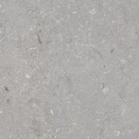 60x60 Shell Stone Grigio