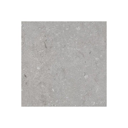 60x60 Shell Stone Grigio