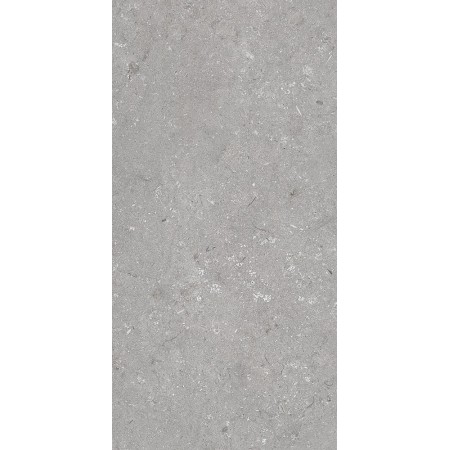 60x120 Shell Stone Grigio