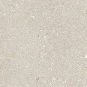 60x60 Shell Stone Beige