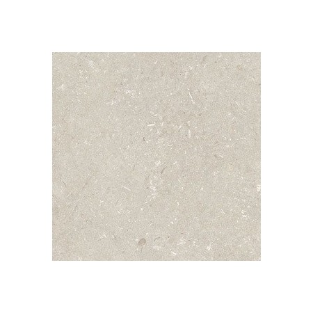 60x60 Shell Stone Beige