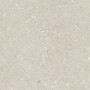 60x60 Shell Stone Beige