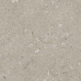 60x60 Shell Stone Taupe