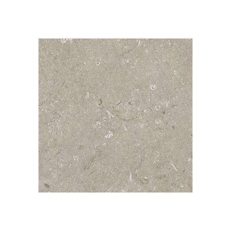 60x60 Shell Stone Taupe