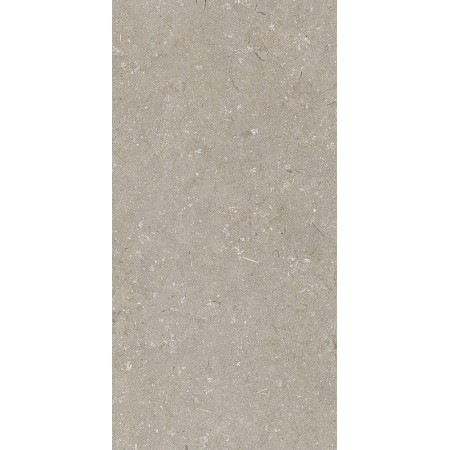 60x120 Shell Stone Taupe