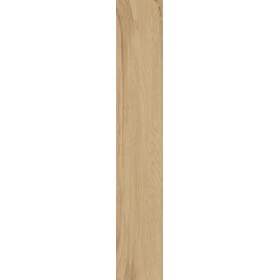 20x120 Elegance Miele