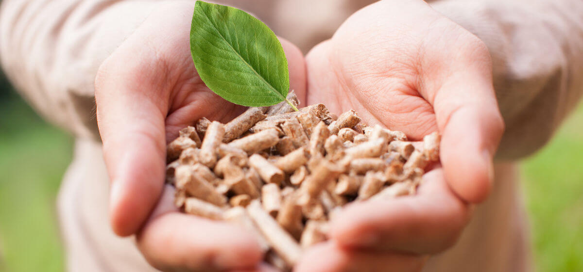 energia pulita pellet